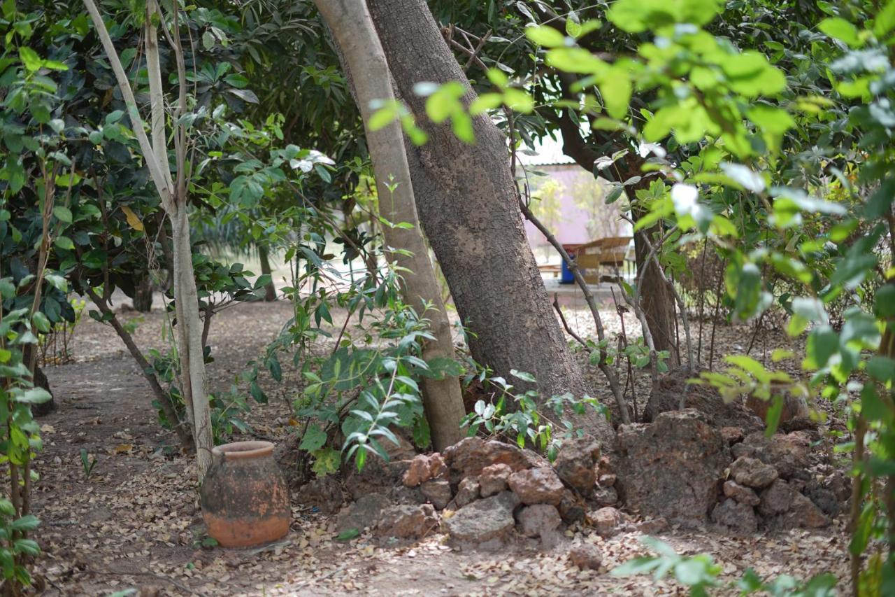 Villa Amarant - Private Garden With Pool Retreat Sanyang Ngoại thất bức ảnh